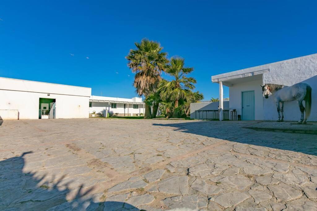 Habitaciones Rurales La Vega Tarifa Exteriér fotografie