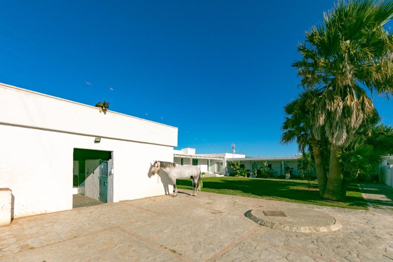 Habitaciones Rurales La Vega Tarifa Exteriér fotografie
